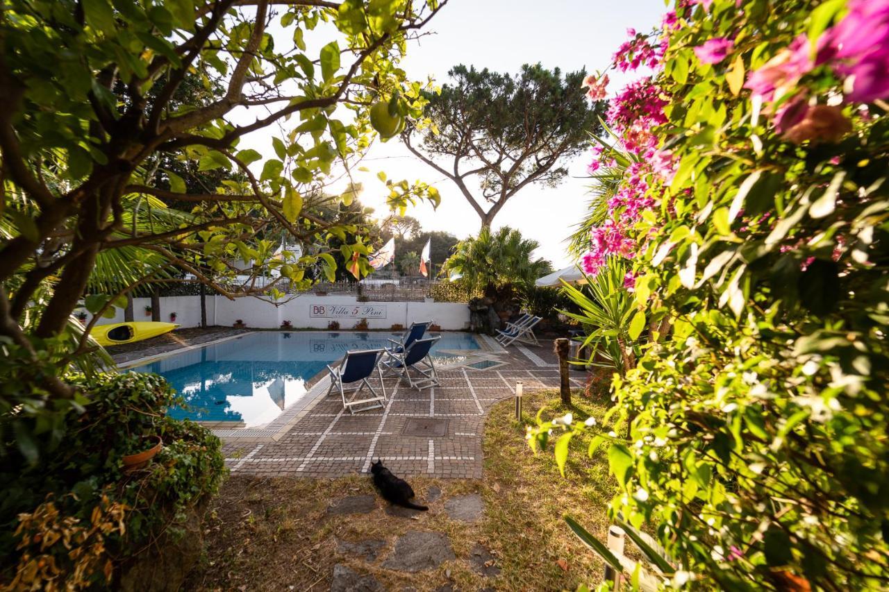 Villa Cinque Pini Casamicciola Terme Exteriör bild