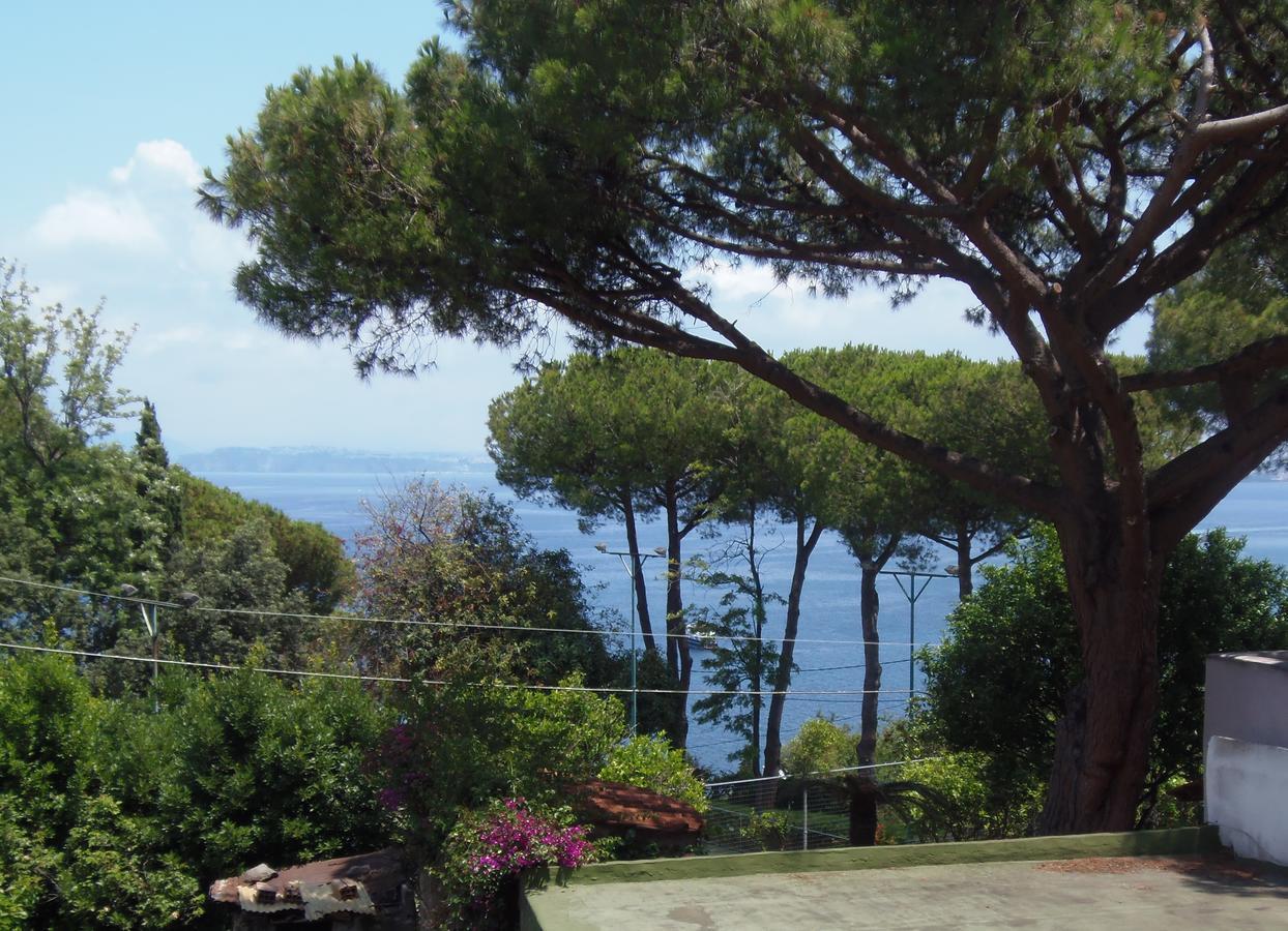 Villa Cinque Pini Casamicciola Terme Exteriör bild